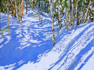 birches-12-mile-bay-rd-5-24x26-wp