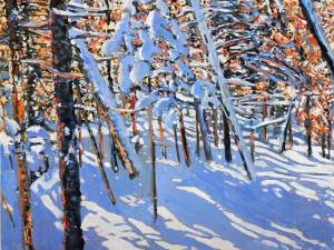 daylight-streaming-thru-the-forest-16x16-