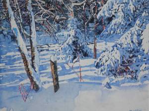 daylight stretching shadows across the snowcovered stream16x20