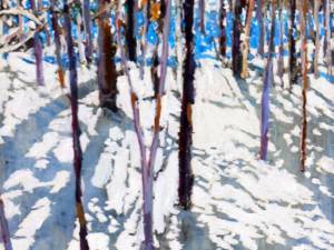 fragmented-shadows-streaming-in-spirited-conversations-between-the-sun-snow-and-open-water-2-18x12-wp