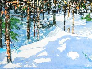 late-day-shadows-stretching-across-the-pond-155x24-wp