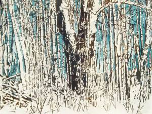 overnight-snowfall-xvii