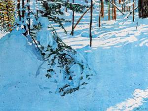sunlight-streaming-across-the-beaver-pond-16x24-wp