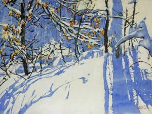 sunlight-streaming-down-the-shadow-side-of-winter18x24-