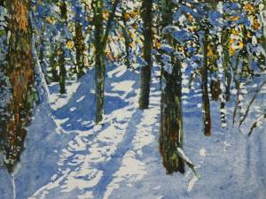 sunlight-streaming-thru-the-forest-16x16-
