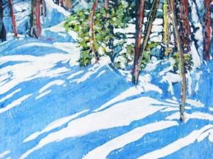 sunlight-streaming-thru-the-forest-18-12x12