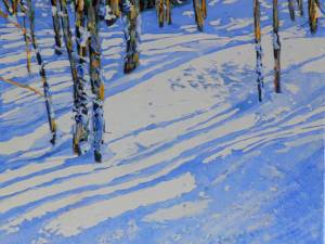 sunlines-streaming-the-forest-5-16x16-wp