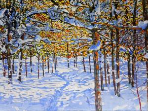 trail-thru-sunlight-hardy-lake-18x30-wp