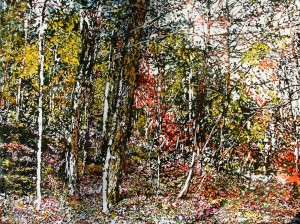 autumn dropped leaves any old place down the hillside all across the season  24x32