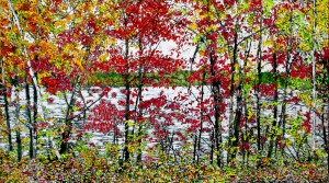 autumn on the pond 14 40x72 wp