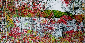 autumn on the pond 15 36x72 wp