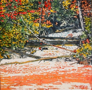 day after the rain beaver river 16x16 wp
