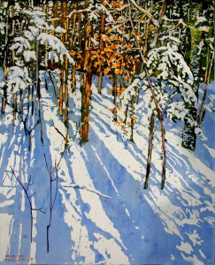 sunlight streaming down the shadow side of winter 20x16 wp