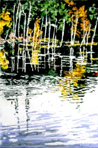 deep autumn yellows reflecting  beaver pond 18x12 wp