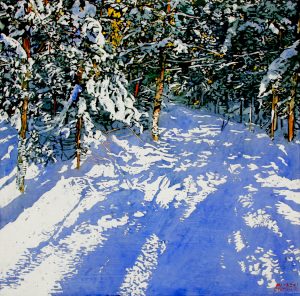 daylight stealing across a trail thru a clear winters day 24x24 wp