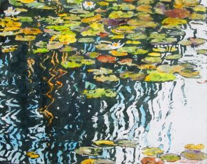 water lilies on a day full of deep reflections 2 16x20 wp