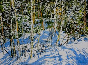 clear winters day full of shifting impressions & quietly random strips of sunlight 18x24 wp
